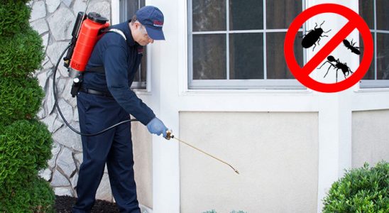 Murgul Böcek ve Haşere İlaçlama böcek ilaçlama ve haşere kontrolü — ilaclama-tr.com